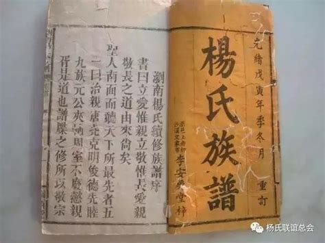 楊姓祖先是那里|楊氏家譜:楊姓起源說,楊氏家族圖騰,楊氏家譜內容,郡望堂號,字輩。